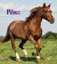 Pénz